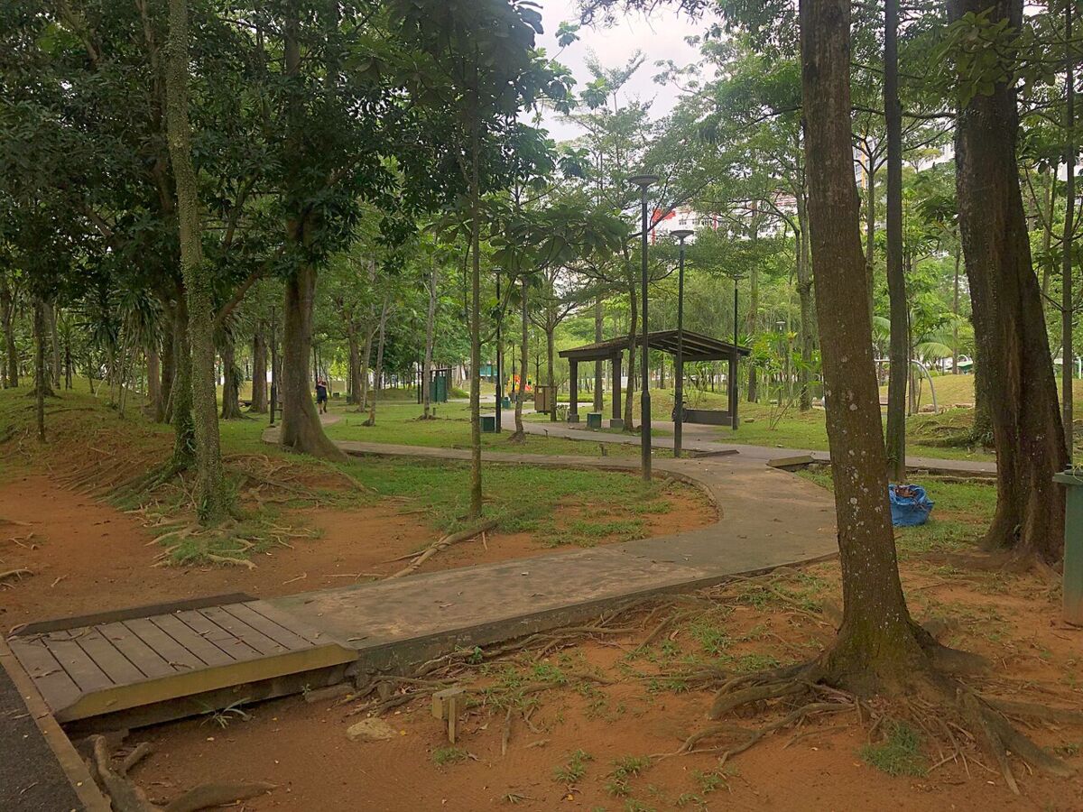 Lush greenery at a park in the Admiralty area of northern Singapore
