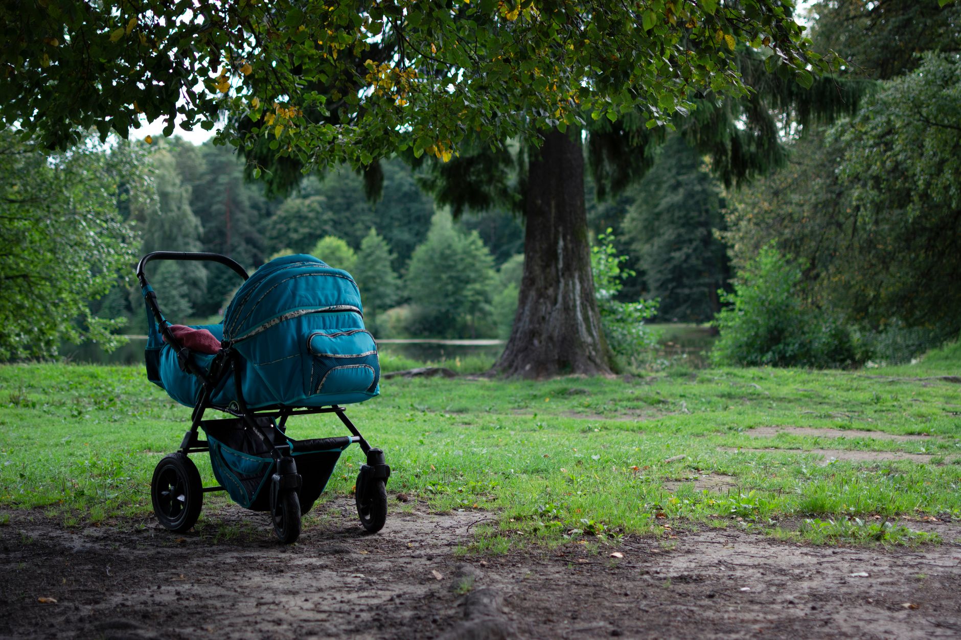A serene park setting with a baby stroller under a tree, capturing nature's calm.