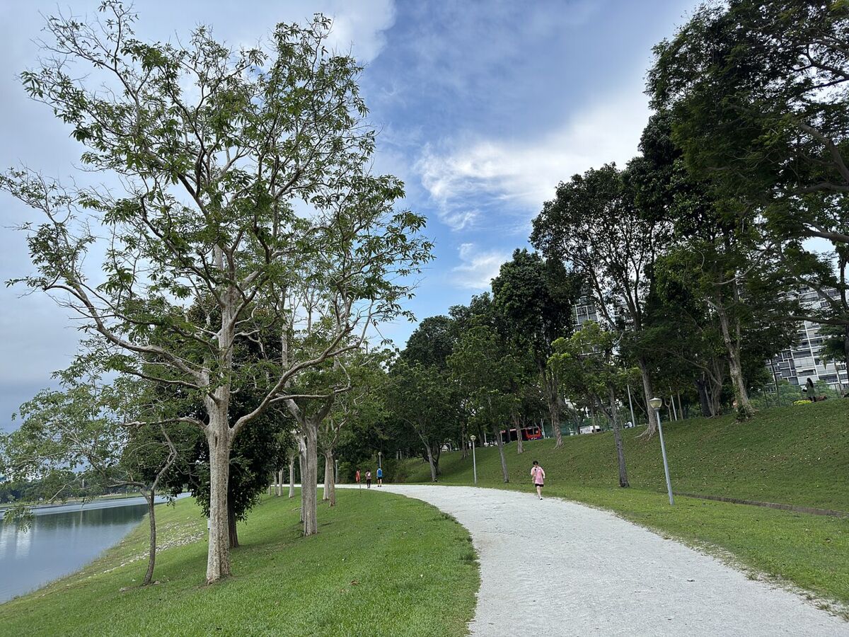 Bedok Reservoir Park: A Family Guide to Singapore's Eastern Waterfront Playground