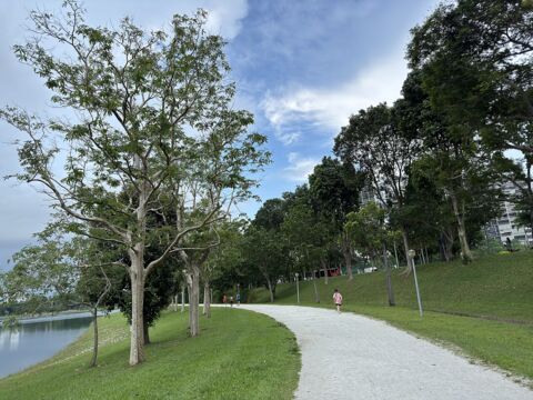 Bedok Reservoir Park: A Family Guide to Singapore's Eastern Waterfront Playground