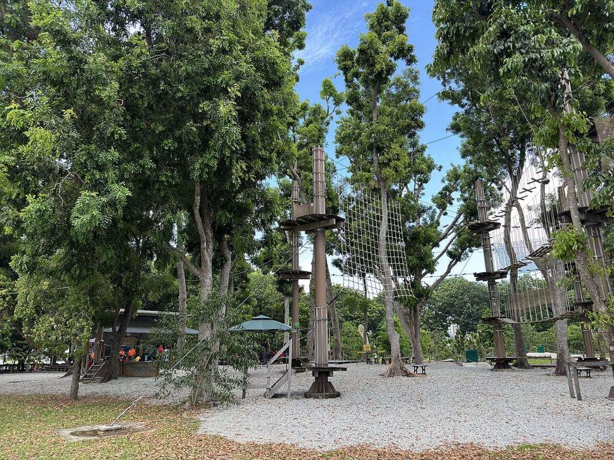 Treetop high-ropes adventure course set among trees at Bedok Reservoir Park
