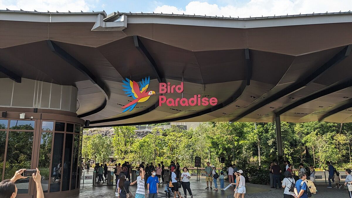 Bird Paradise Family Guide: Mandai's Walk-Through Aviaries for Kids