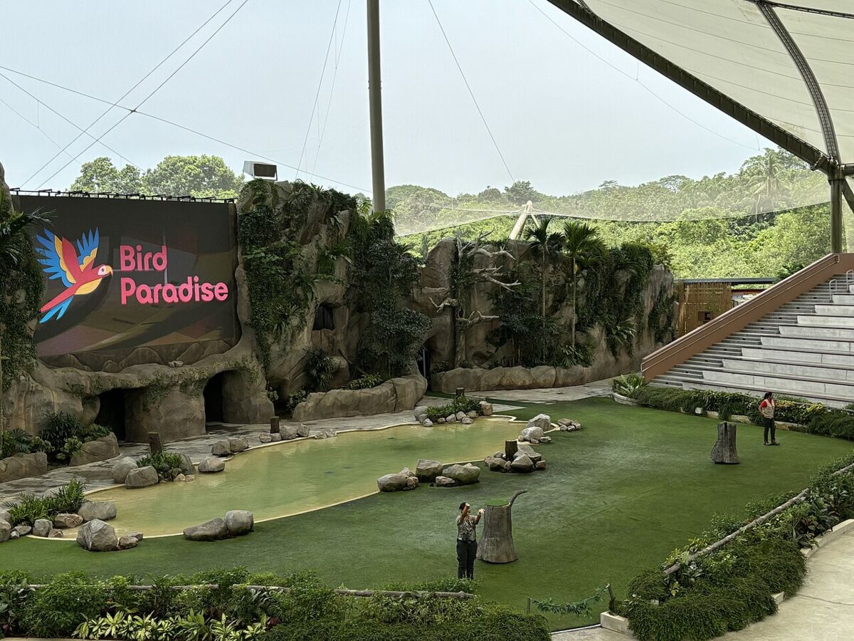 The Sky Amphitheatre stage with rockwork and pond set for the Wings of the World bird show at Bird Paradise
