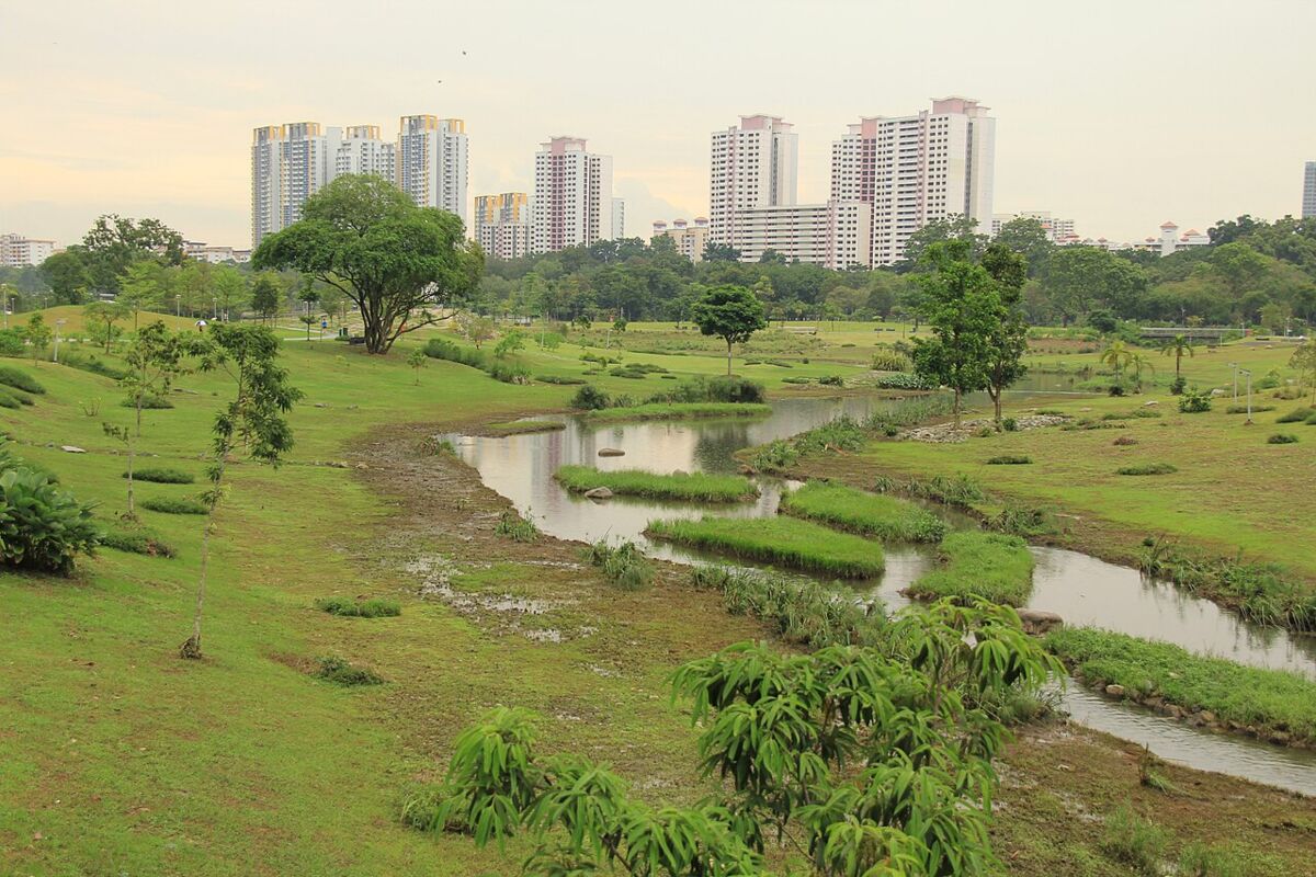 The naturalised meandering Kallang River winding through grassy meadows at Bishan-Ang Mo Kio Park with residential towers in the distance