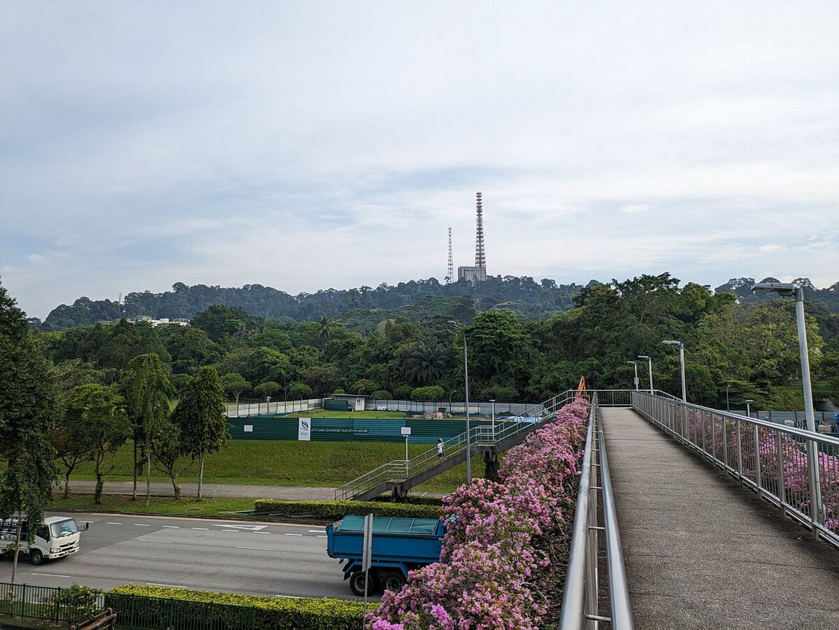 View of forested Bukit Timah Hill with its summit telecommunications tower above the green canopy