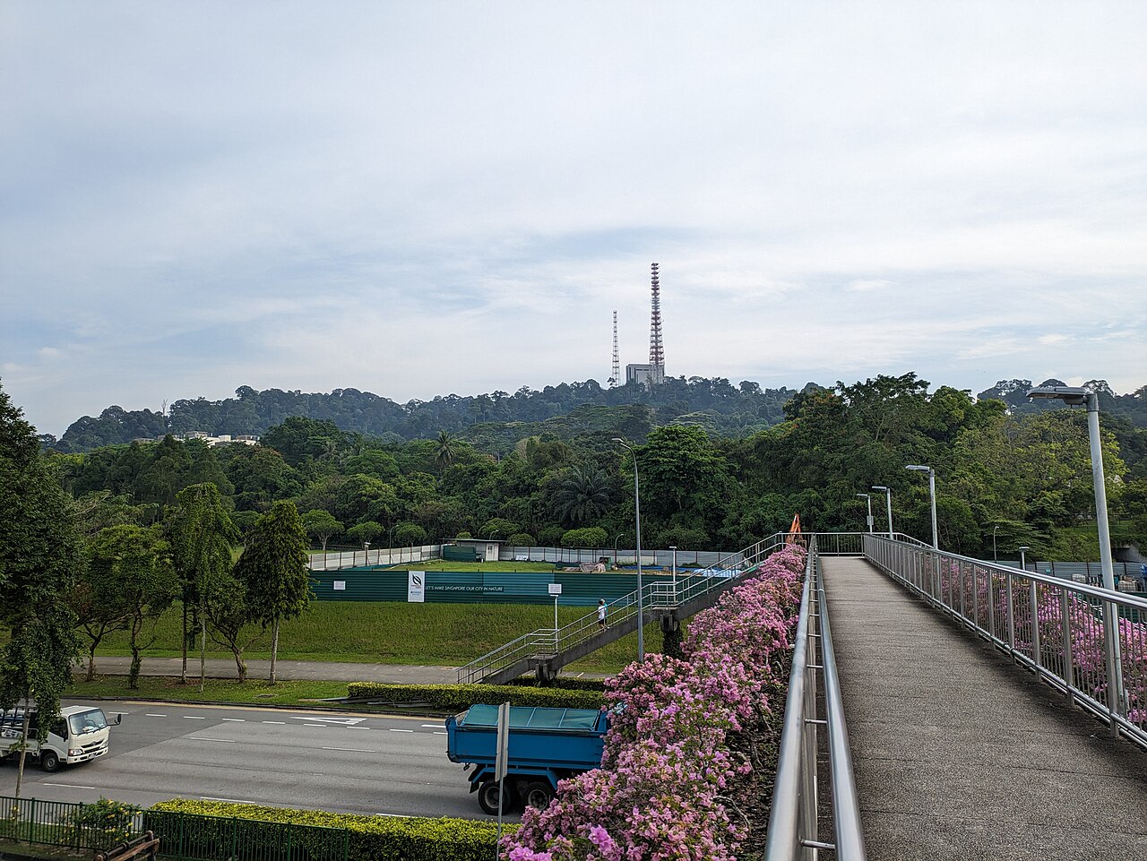 View of forested Bukit Timah Hill with its summit telecommunications tower above the green canopy