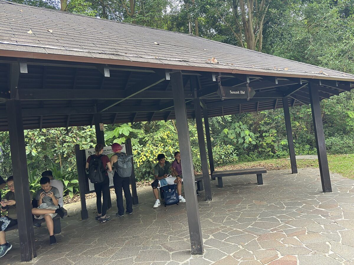 Summit marker stone at the top of Bukit Timah Hill surrounded by greenery and a tall mast