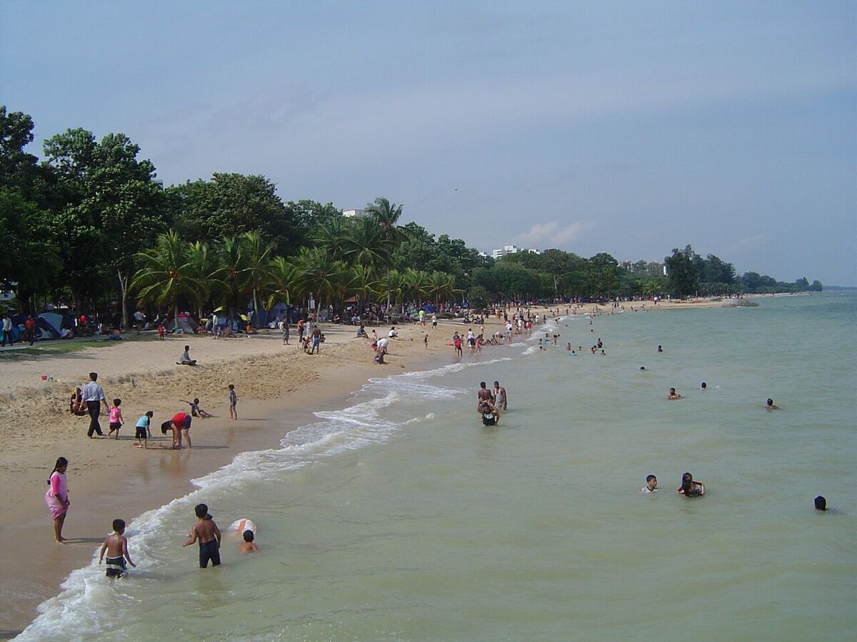 Coastal PlayGrove at East Coast Park: A Family Guide for Singapore Parents