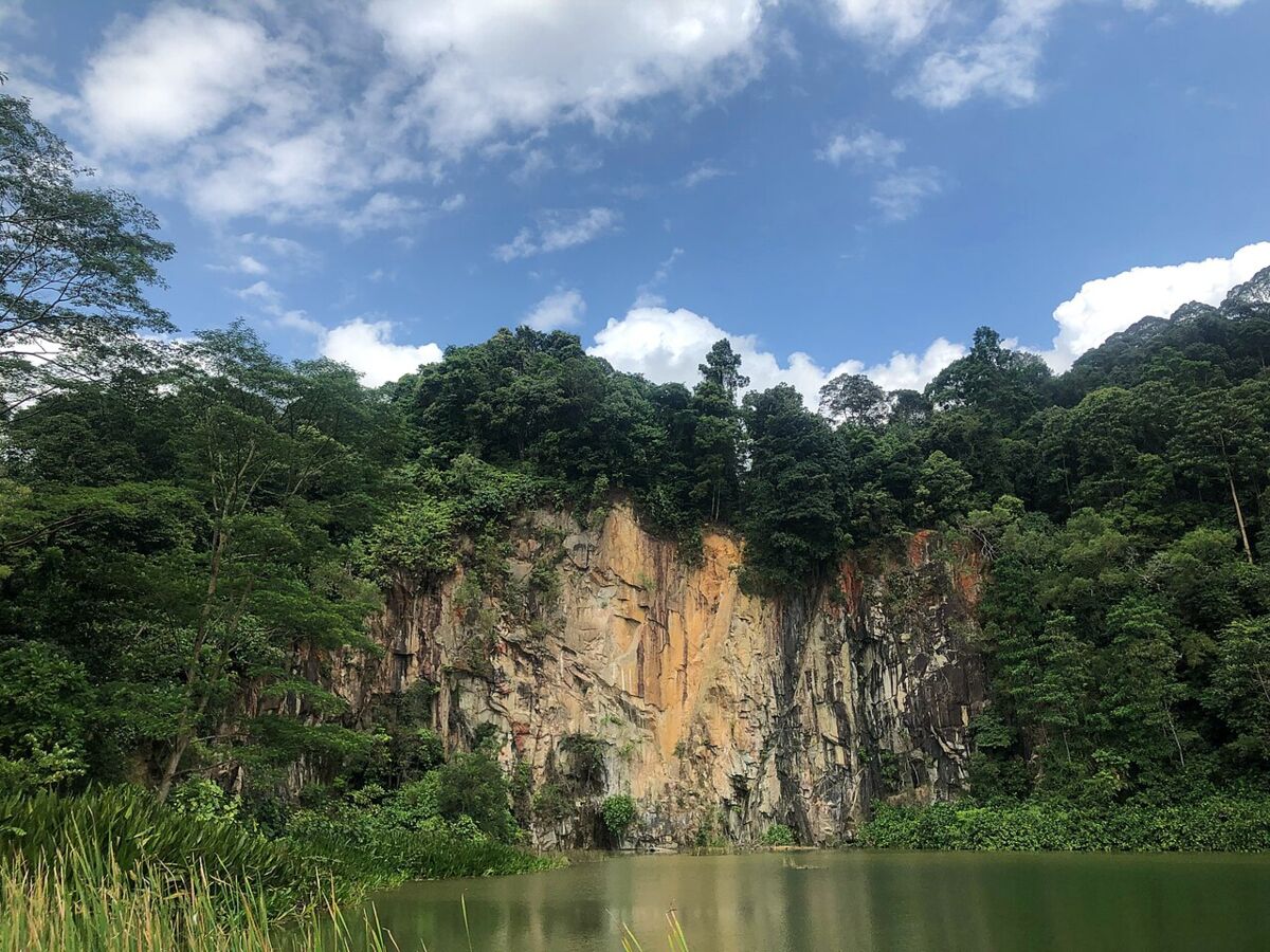 Dairy Farm Nature Park: A Family Guide to the Wallace Trail and Quarry