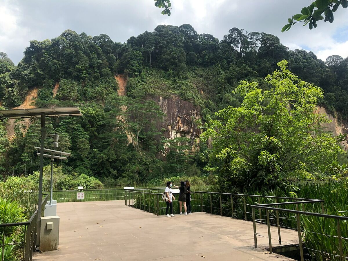 Visitors at the Singapore Quarry viewing platform in Dairy Farm Nature Park, looking out toward the forested quarry cliffs