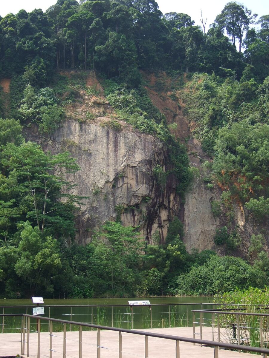 The exposed rock cliff of Singapore Quarry rising above the pond, with the boardwalk viewing platform in the foreground