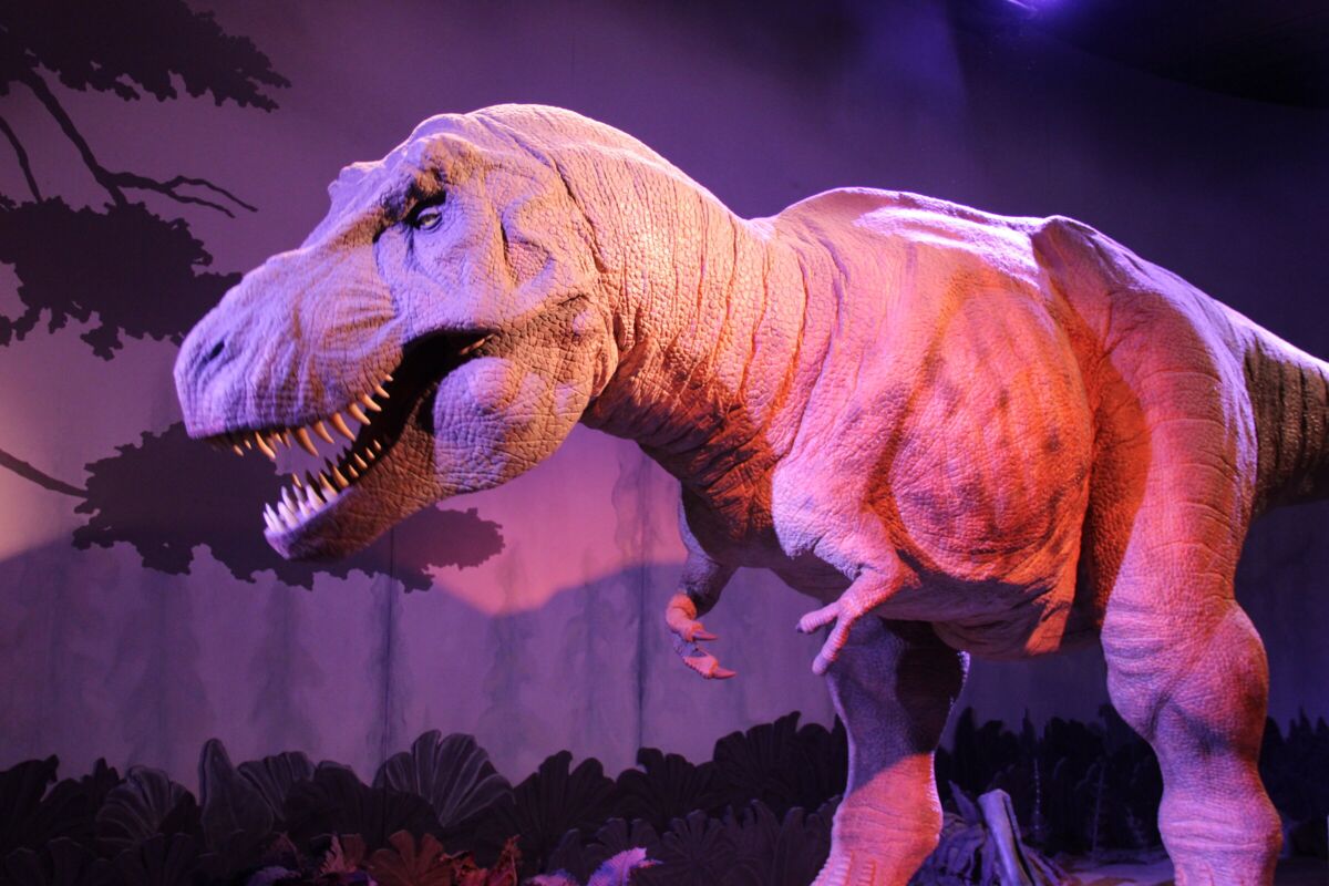 DINO-A-LIVE Dinosaur Odyssey 2026 with kids: show times, tickets and tips