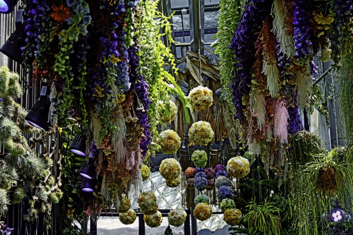Disney Garden of Wonder 2026 at Gardens by the Bay: a parent's guide