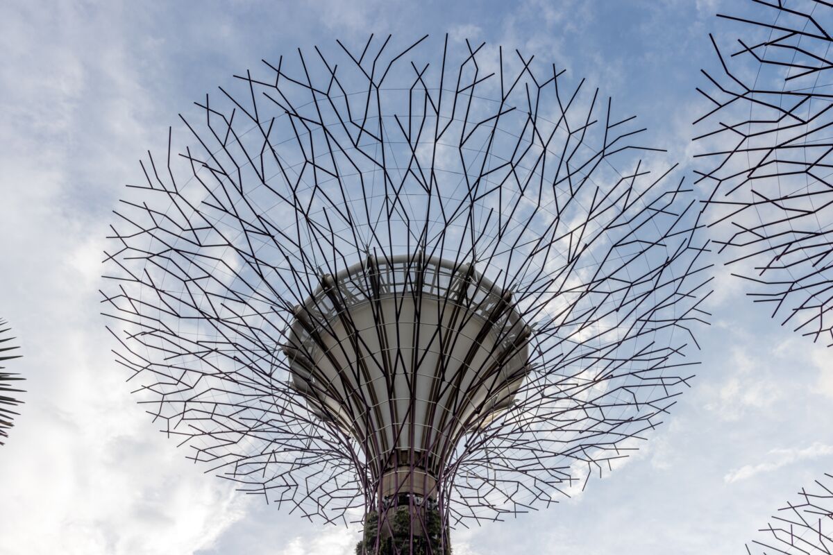 The Supertree Grove at Gardens by the Bay