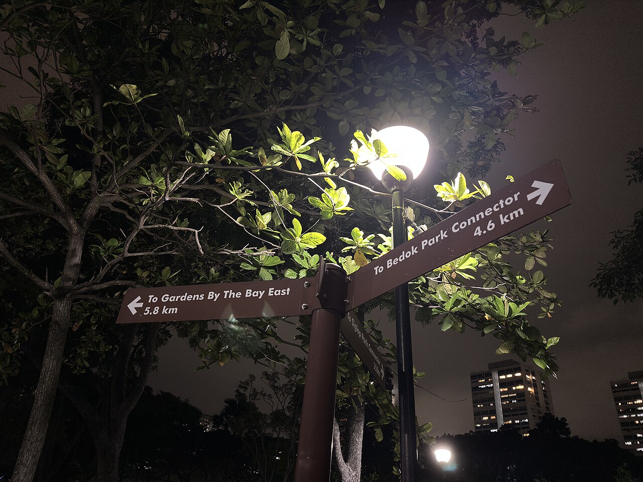 Park connector directional signpost at East Coast Park pointing to Gardens by the Bay East and Bedok Park Connector at night
