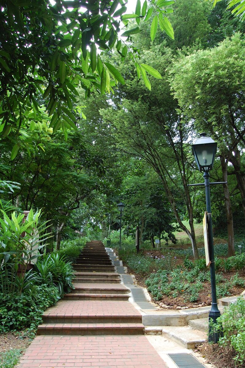 Brick staircase climbing through lush green trees and a heritage lamppost in Fort Canning Park