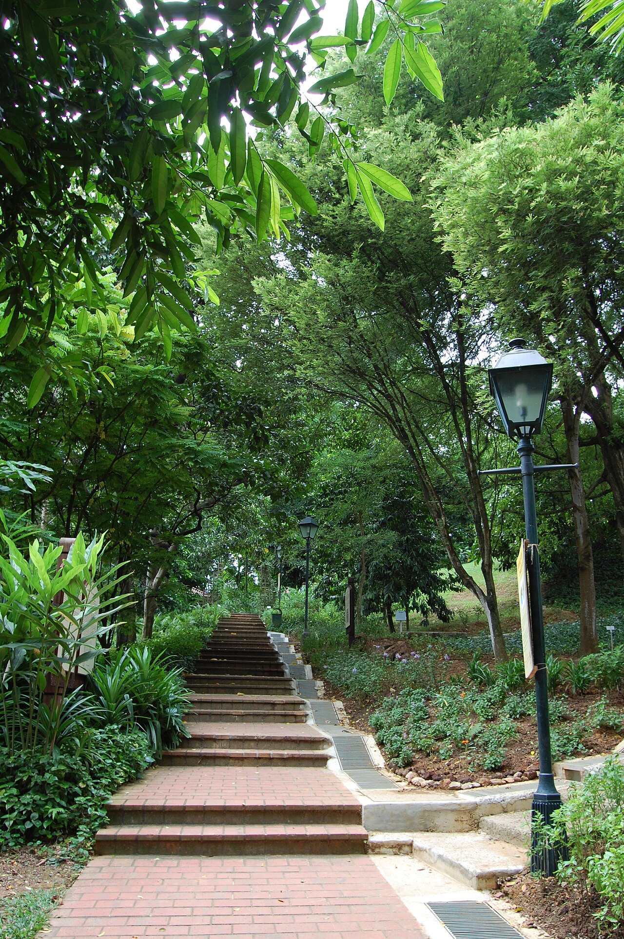 Brick staircase climbing through lush green trees and a heritage lamppost in Fort Canning Park