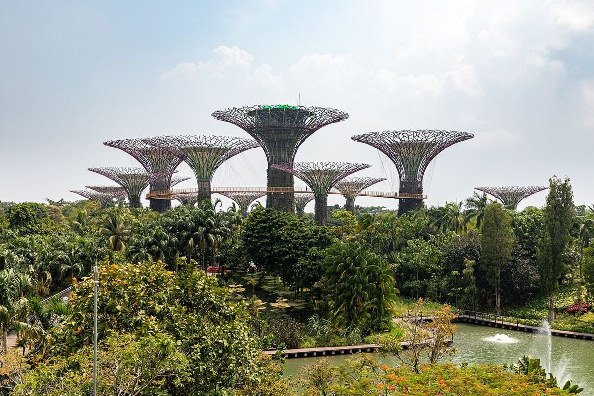Supertree Grove rising above lush tropical gardens at Gardens by the Bay in daylight