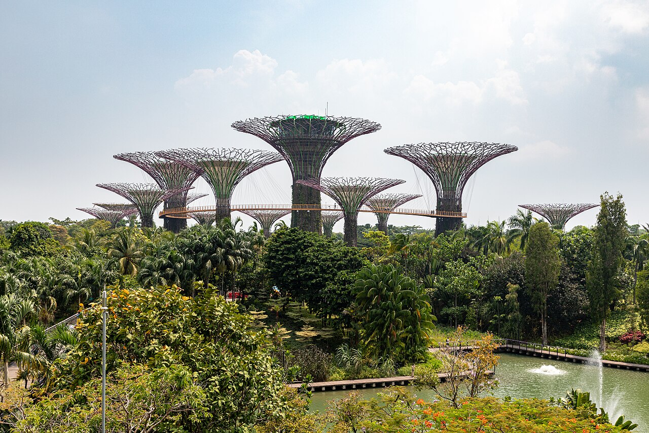 Supertree Grove rising above lush tropical gardens at Gardens by the Bay in daylight