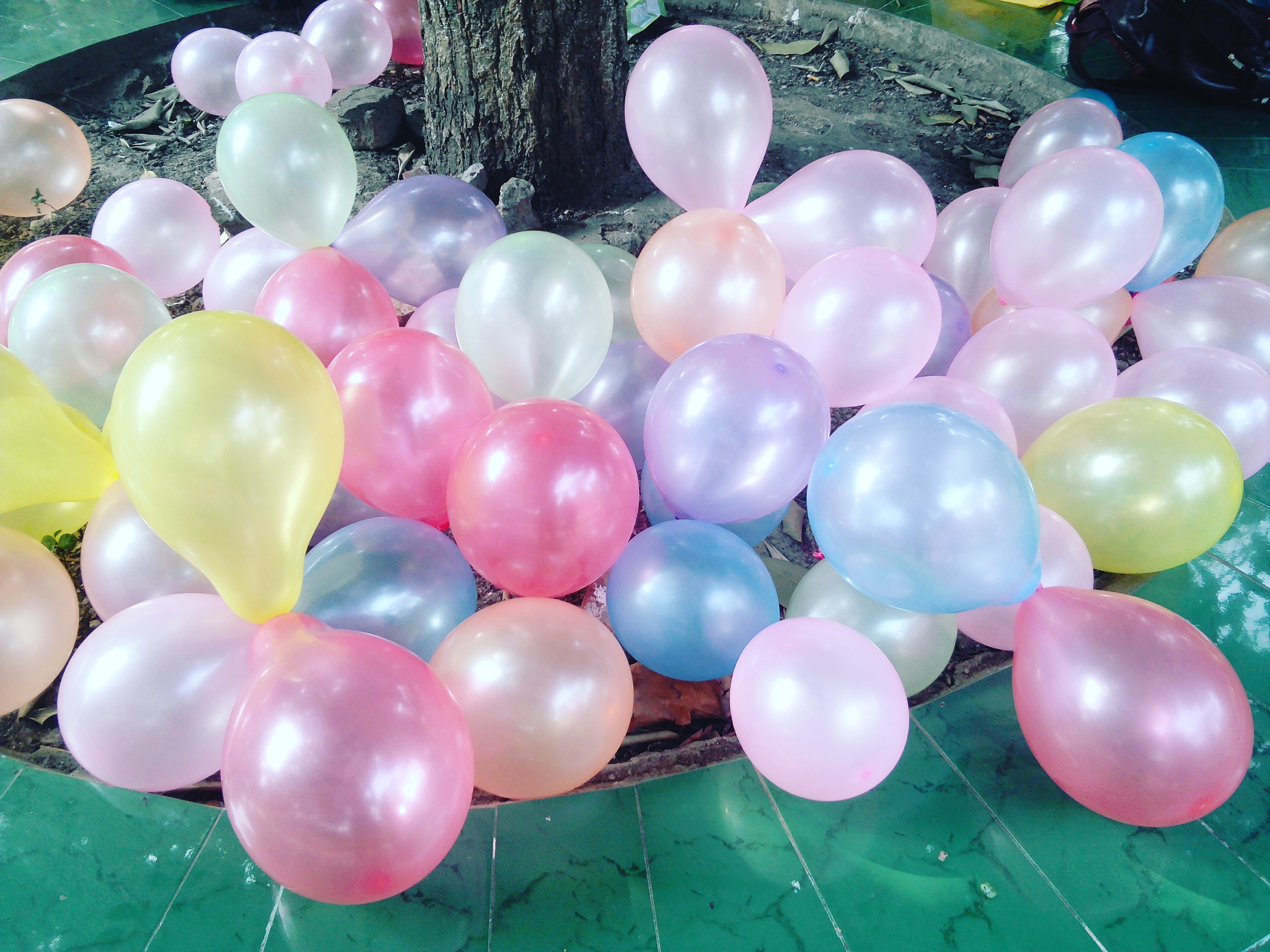 Planning a Gender Reveal in Singapore