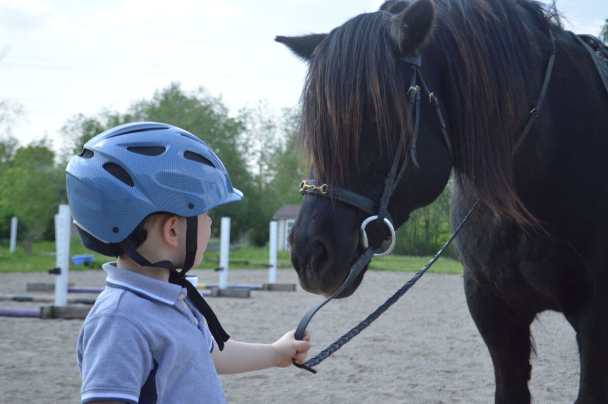 Horse Riding and Pony Rides in Singapore: A Family Guide