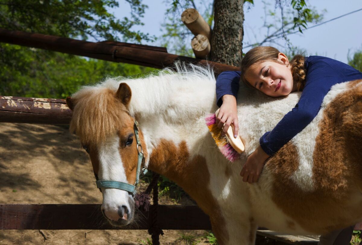 A smiling girl happily grooming her pony outdoors in a sunny setting.