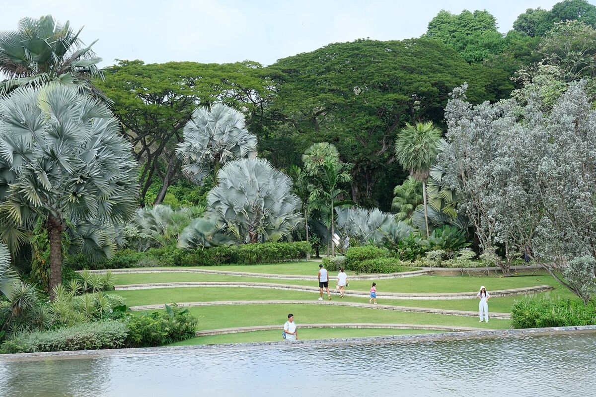HortPark: A Family Guide to Singapore's Gardening Hub and Southern Ridges Gateway