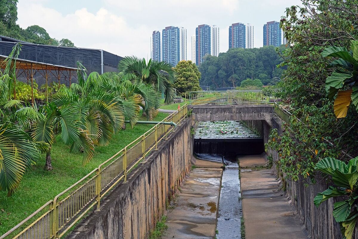 Landscaped greenery and pathways at HortPark with high-rise housing on the horizon