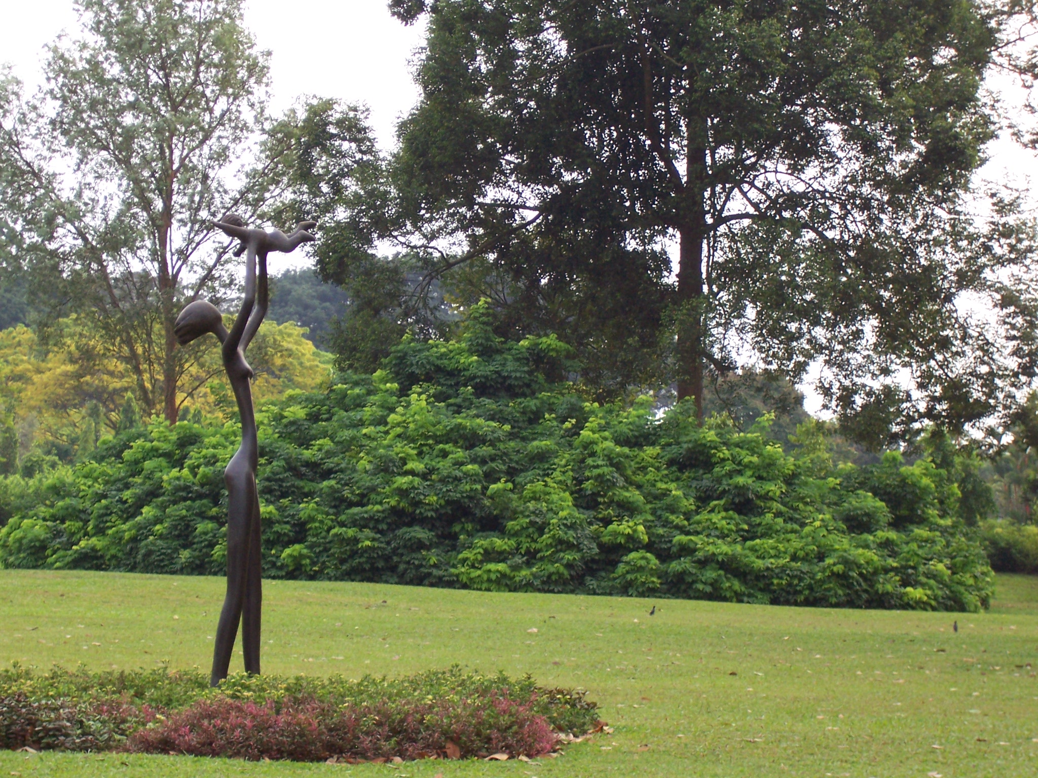Singapore Botanic Gardens