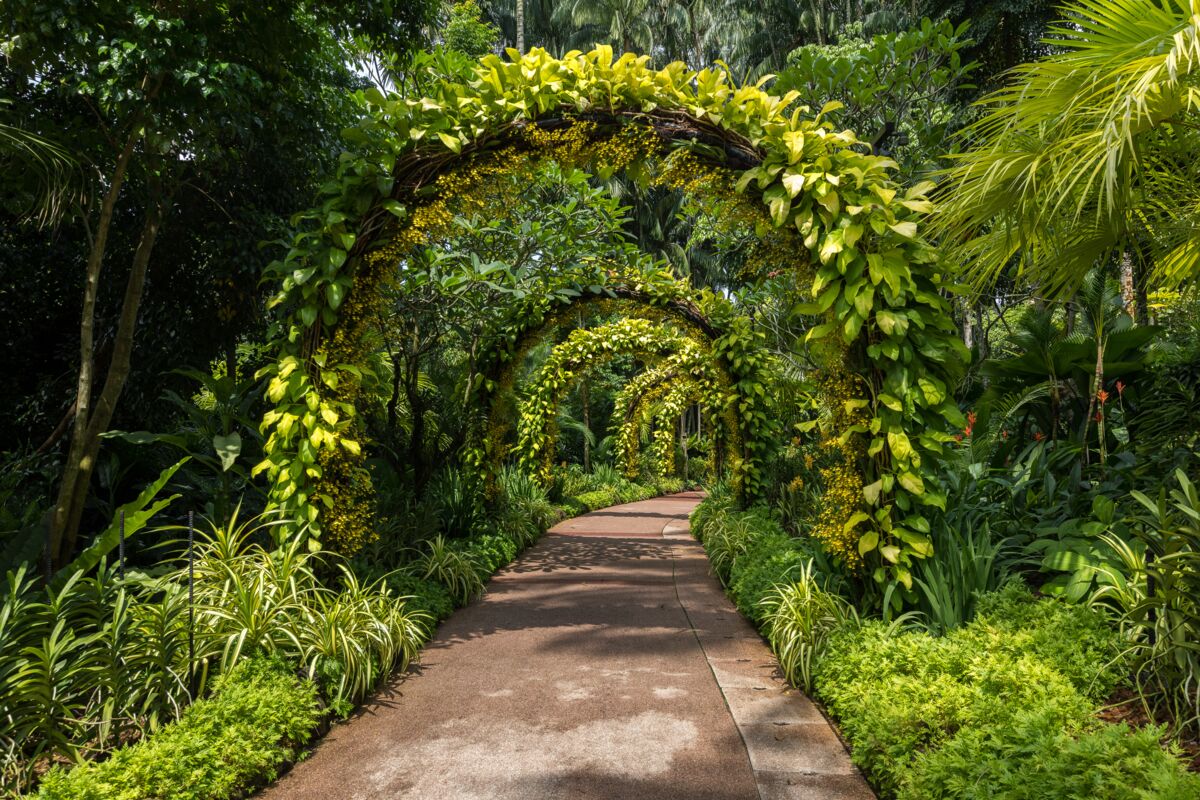 Jacob Ballas Children's Garden: A Family Guide to Asia's First Kids' Garden