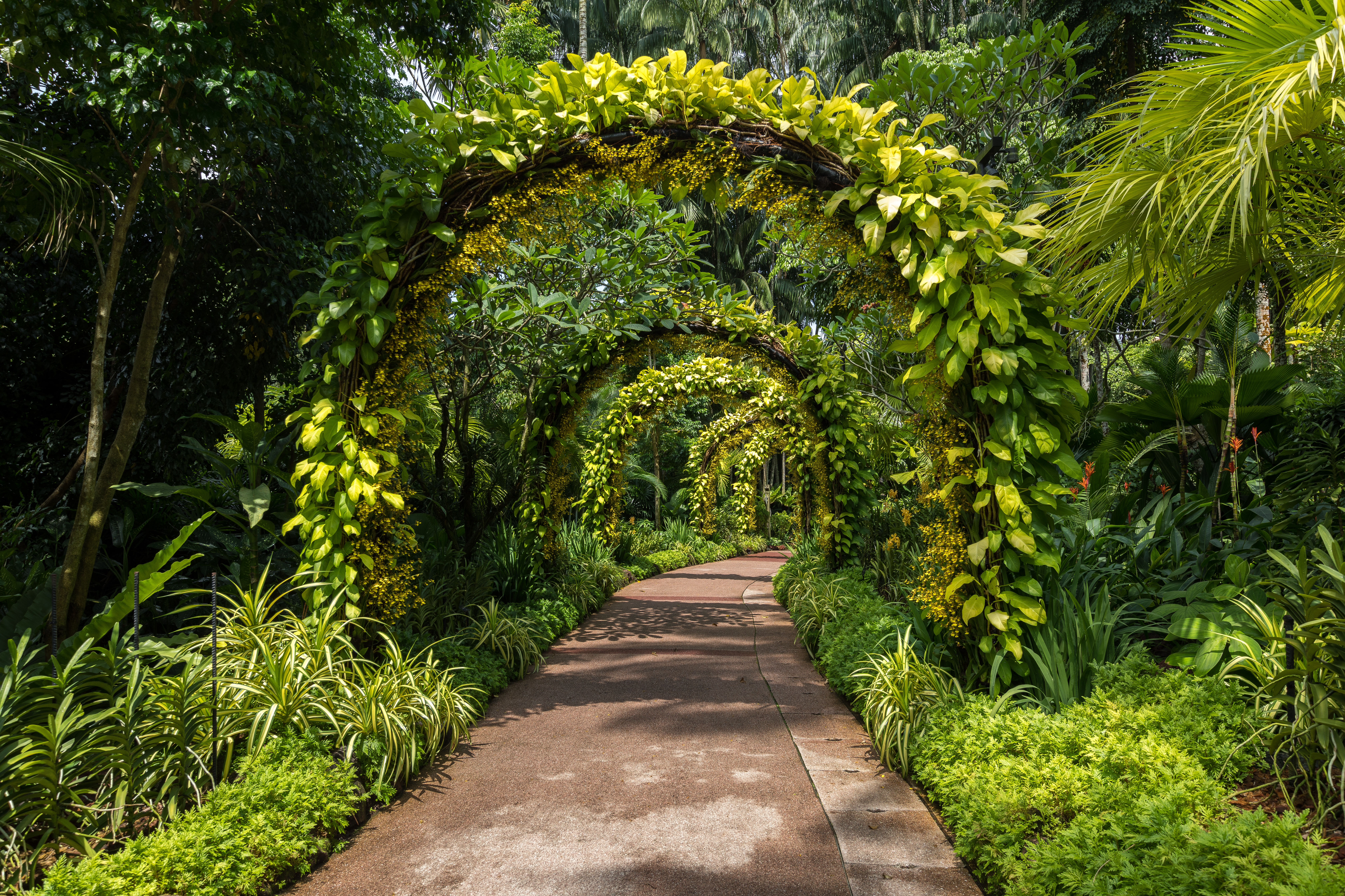 Jacob Ballas Children's Garden: A Family Guide to Asia's First Kids' Garden