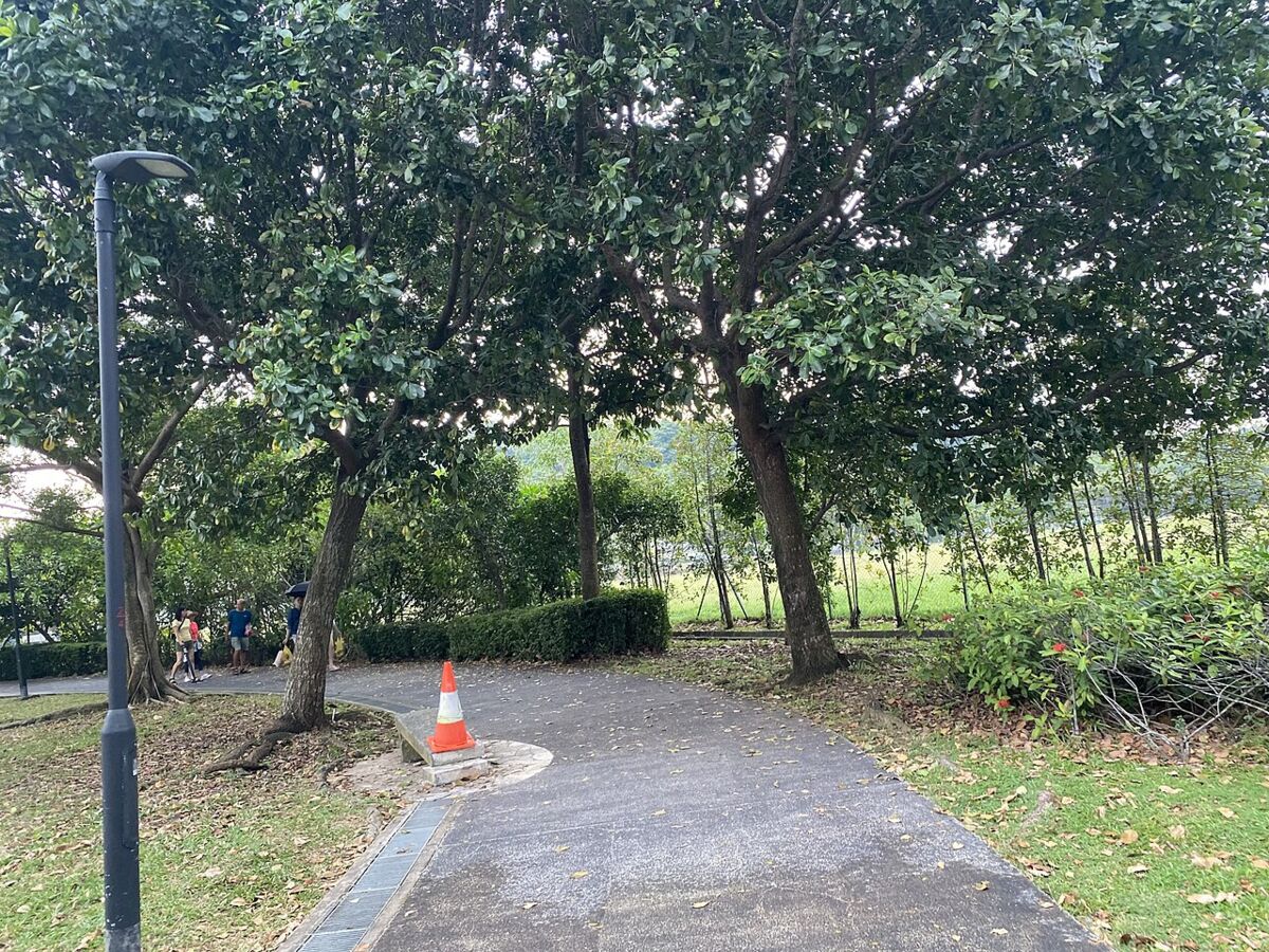Shaded paved walking path winding under leafy trees through the greenery of Labrador Nature Reserve