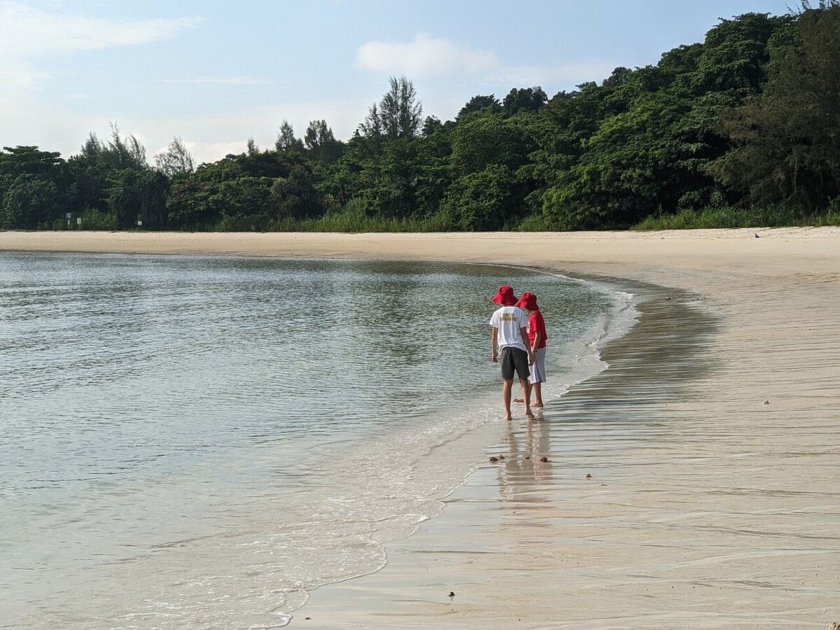 Two people in red caps wading along the calm shoreline of Lazarus Island's quiet sandy beach backed by lush trees