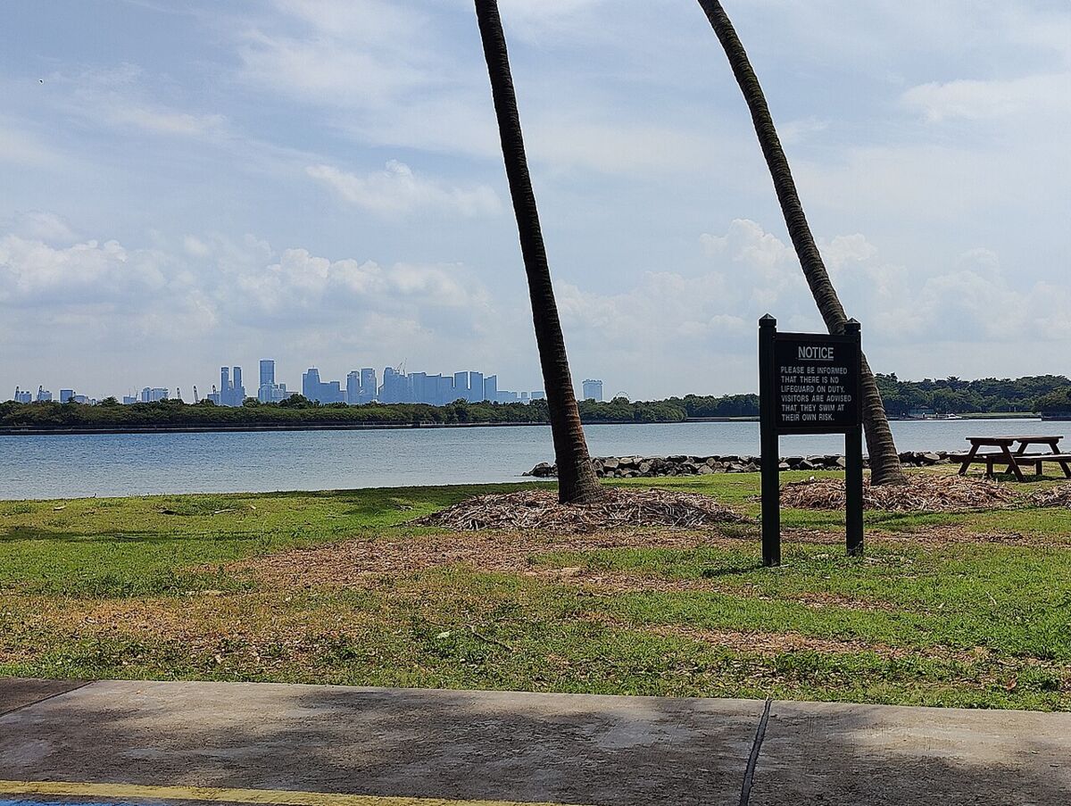 Grassy picnic lawn with coconut palms on St. John's Island near Lazarus, looking across the water toward the Singapore city skyline