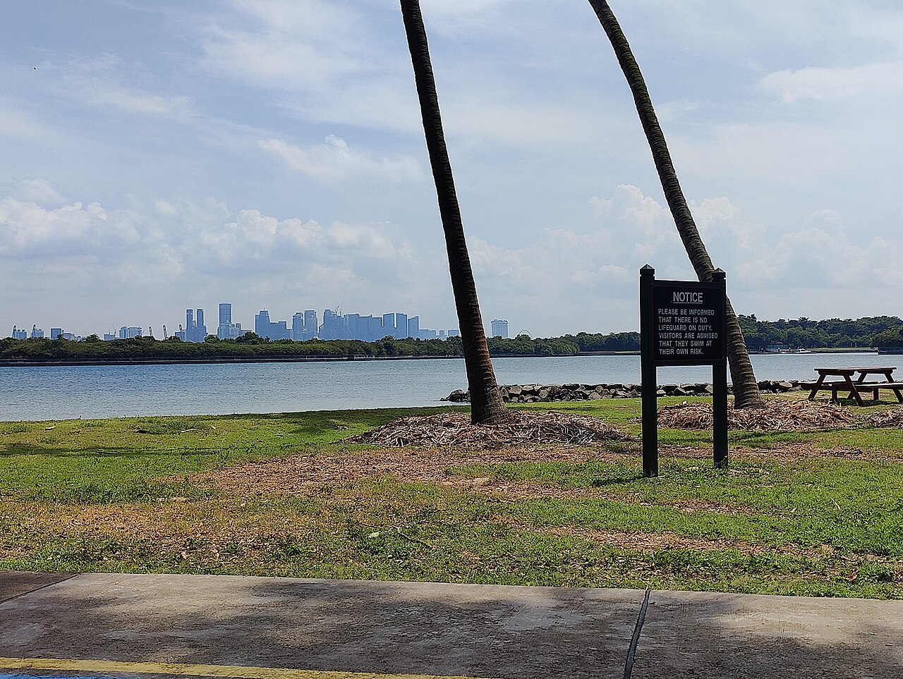 Grassy picnic lawn with coconut palms on St. John's Island near Lazarus, looking across the water toward the Singapore city skyline