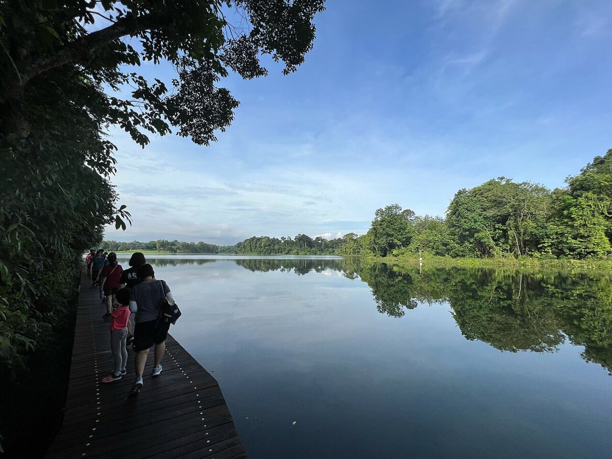 Families walking along the wooden boardwalk beside the still water of Lower Peirce Reservoir