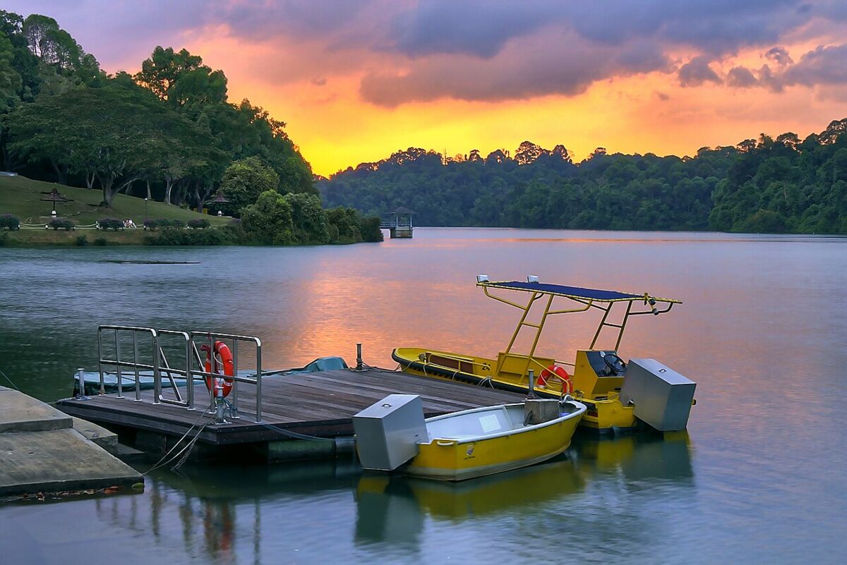 Yellow boats moored at a wooden jetty on MacRitchie Reservoir under a glowing orange sunset sky
