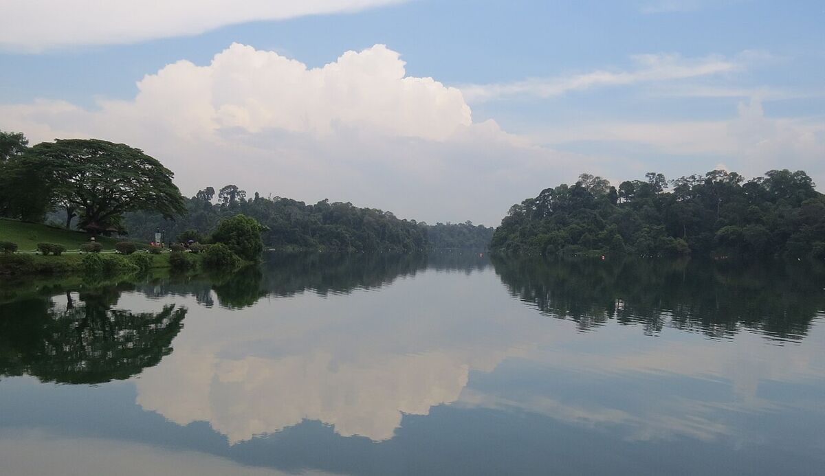 Wide daytime view of MacRitchie Reservoir with clouds and forested banks mirrored on the still water
