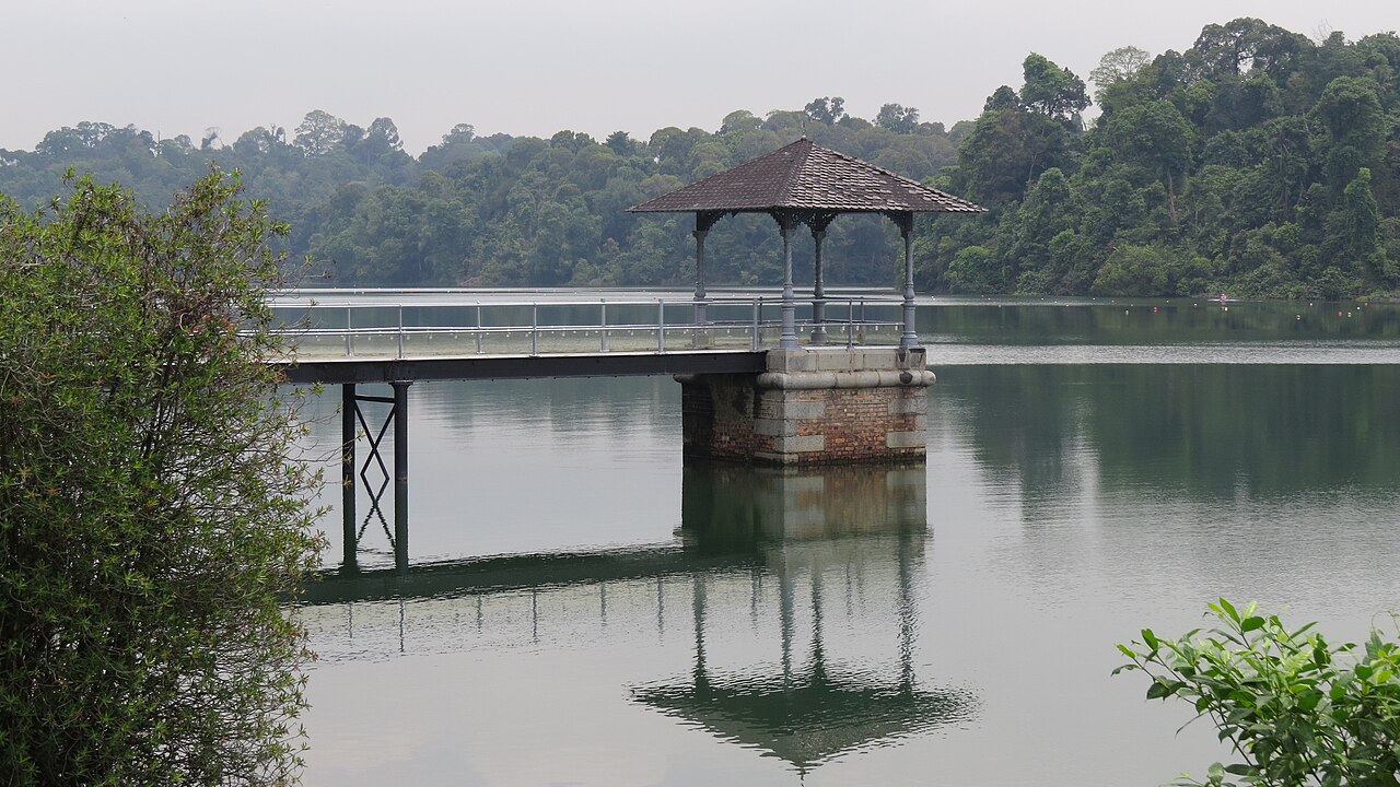 MacRitchie Reservoir Family Guide: Walks, TreeTop Walk and What to Know