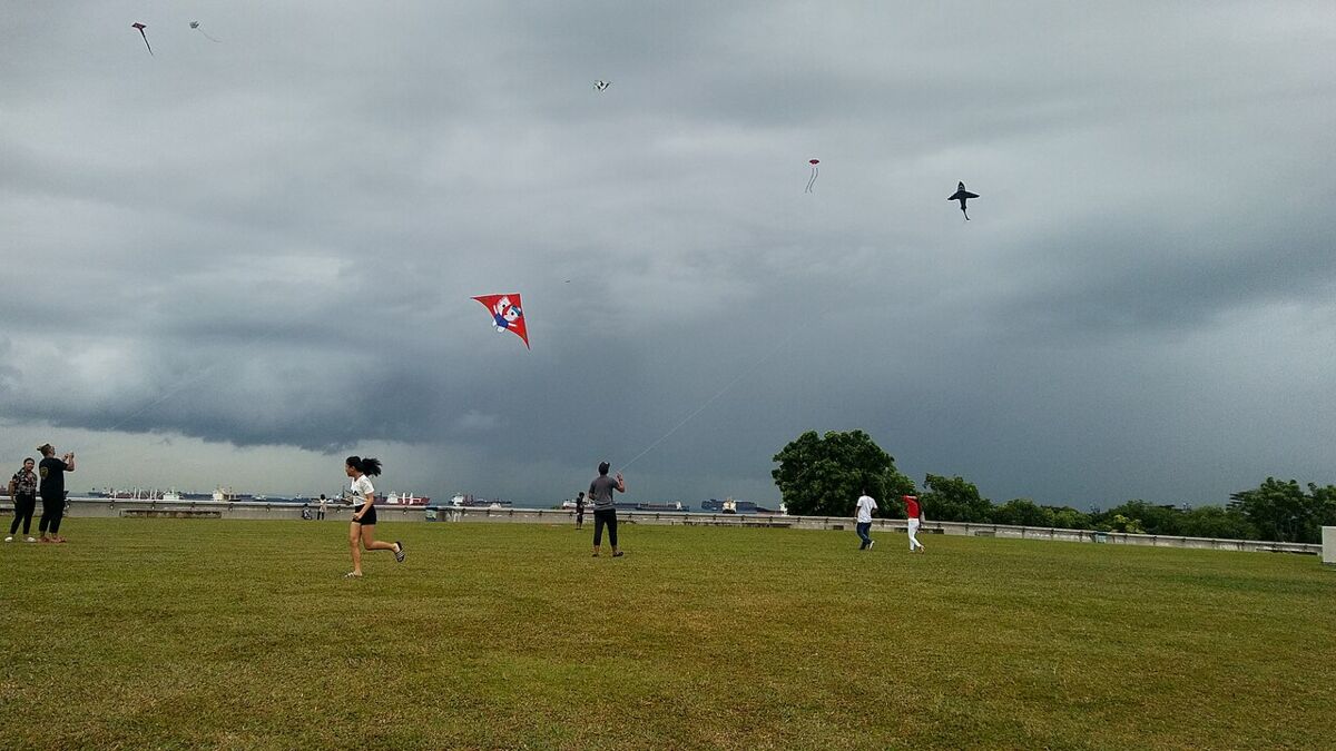 Families flying kites on the grassy rooftop park at Marina Barrage under cloudy skies
