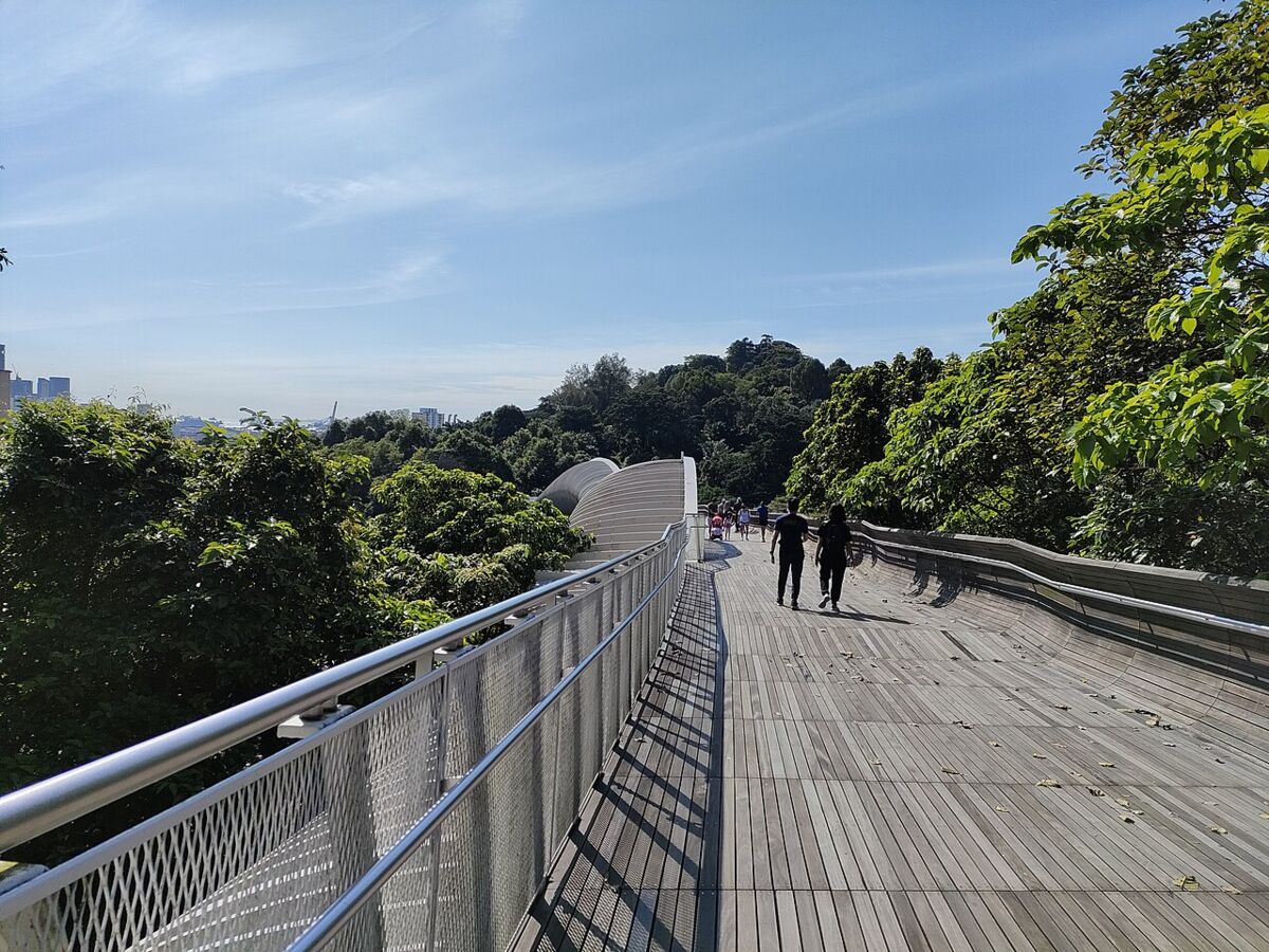 Visitors walking along the curving Henderson Waves boardwalk linking Mount Faber to Telok Blangah Hill
