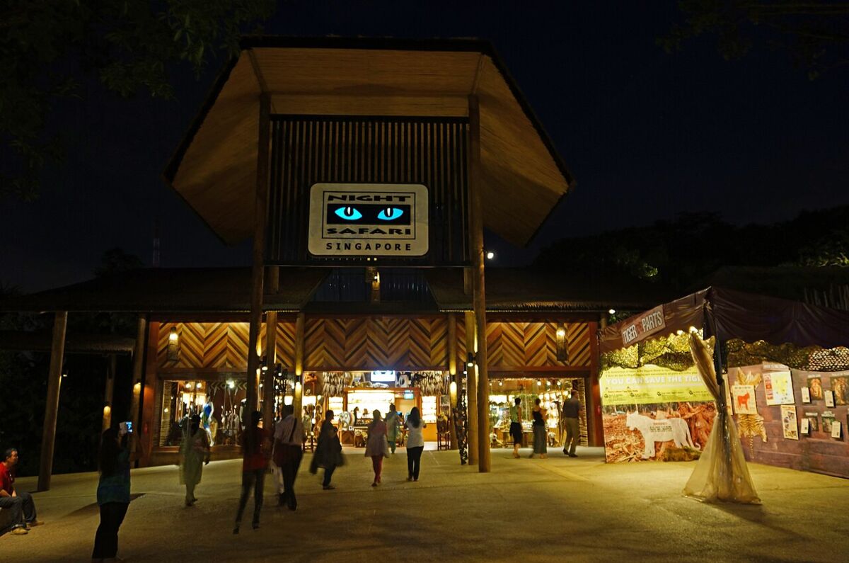 Night Safari Singapore: A Family Guide to the World's First Nocturnal Wildlife Park