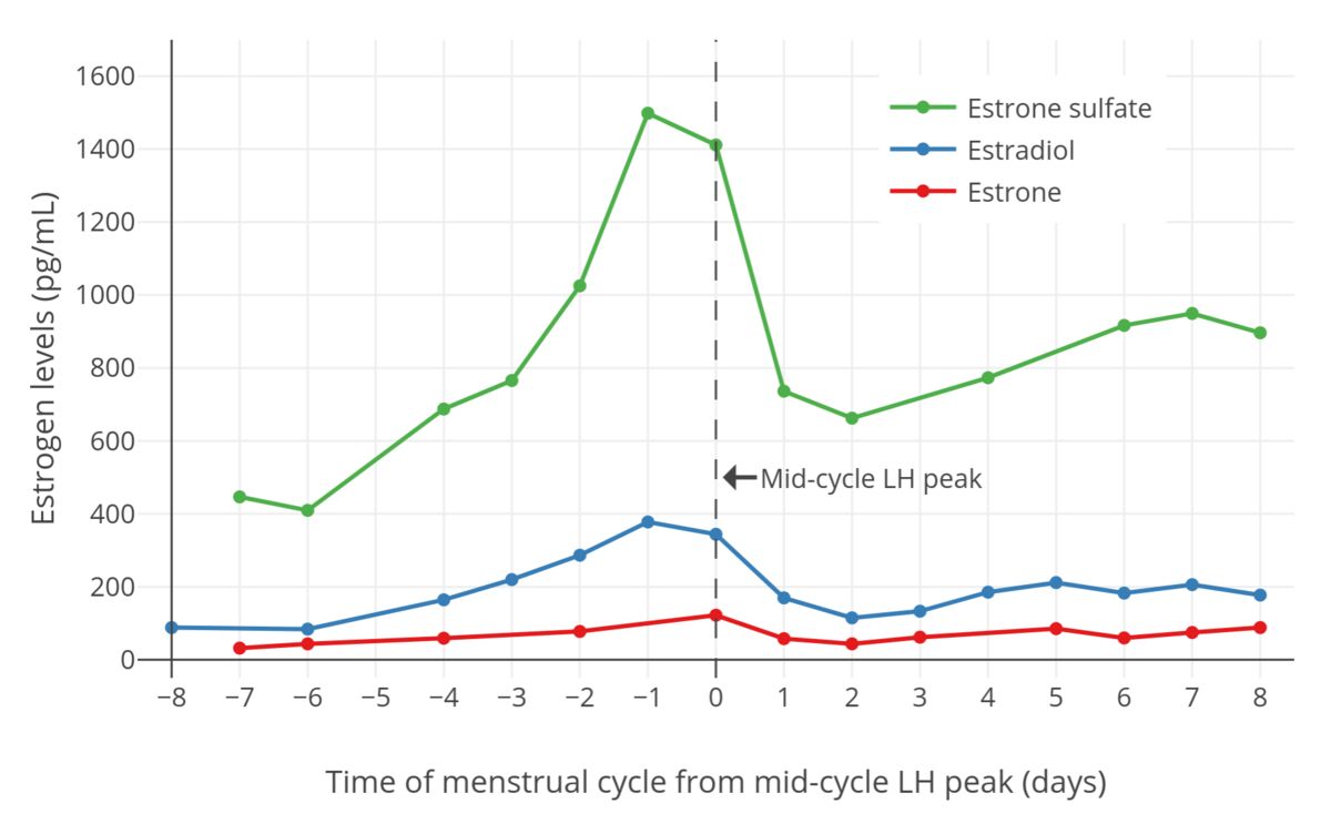 Hormone changes across the menstrual cycle (diagram)