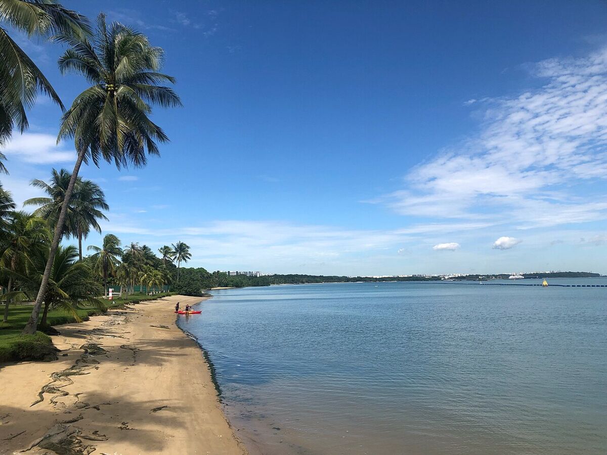 Pasir Ris Park: The Ultimate Family Guide to Singapore's Biggest Beachside Playground