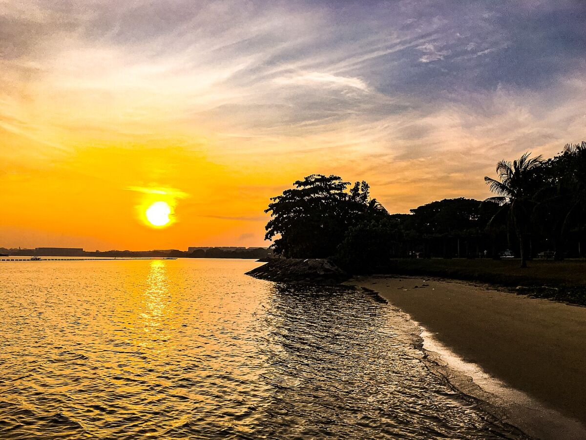 Golden sunset over the sea and beach at Pasir Ris Park with trees in silhouette
