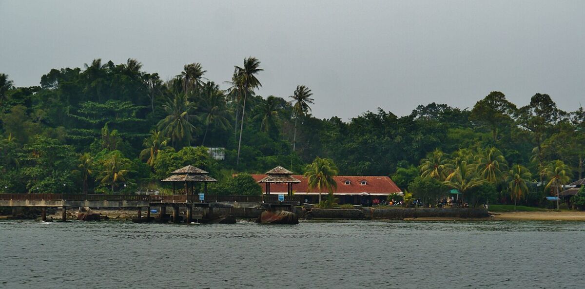 Tile-roofed village buildings and palm trees along the Pulau Ubin waterfront seen from a boat