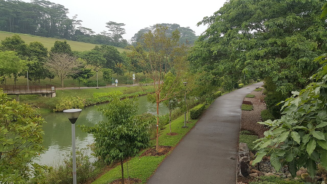 Punggol Family Guide: Waterway Park, Coney Island and the Waterfront