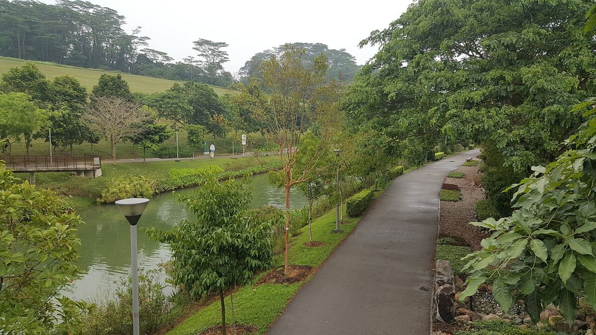 Punggol Waterway Park: A Family Guide to Play, Cycling and the Scenic Waterway