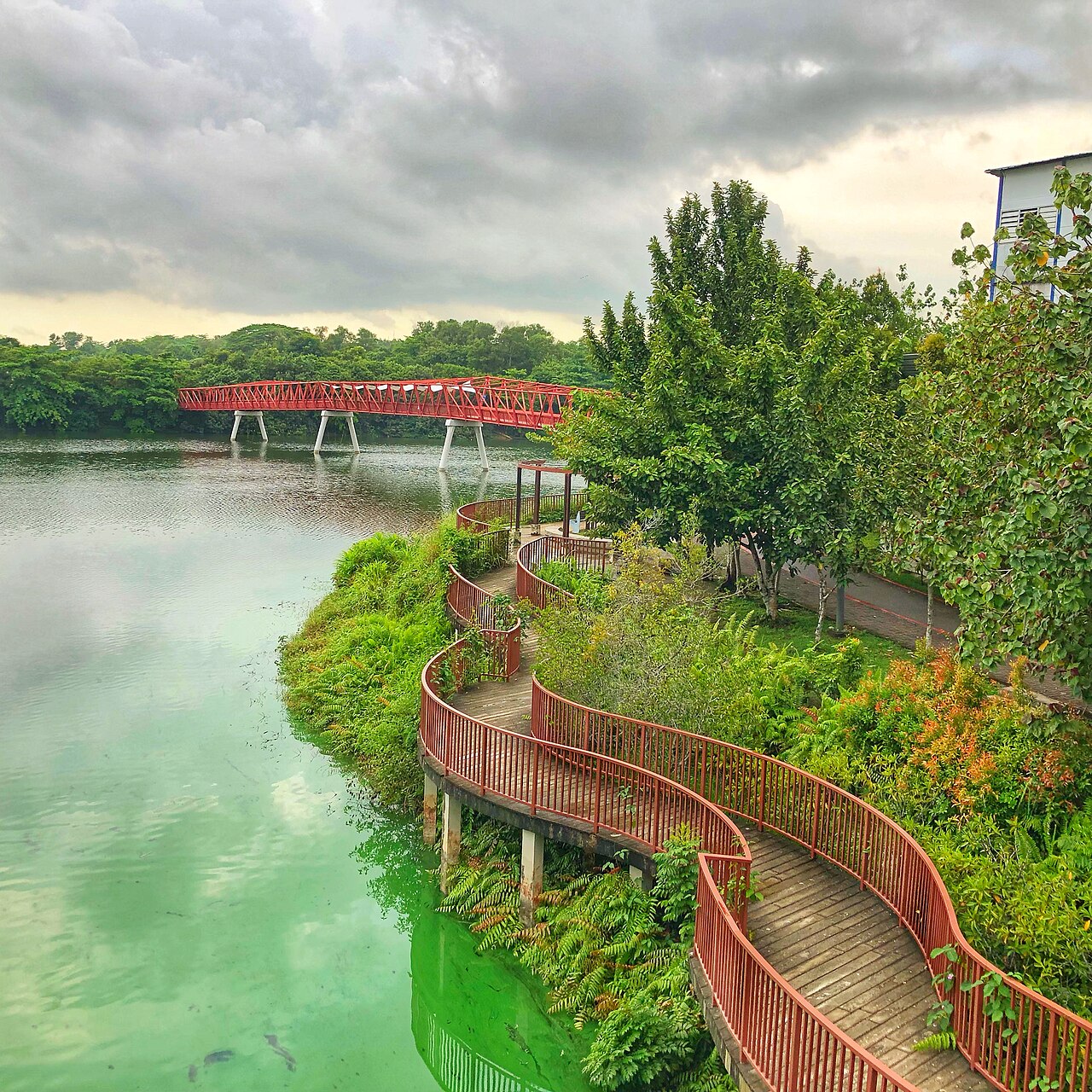 Red bridge and winding waterfront boardwalk through lush planting beside green water at Punggol Waterway Park