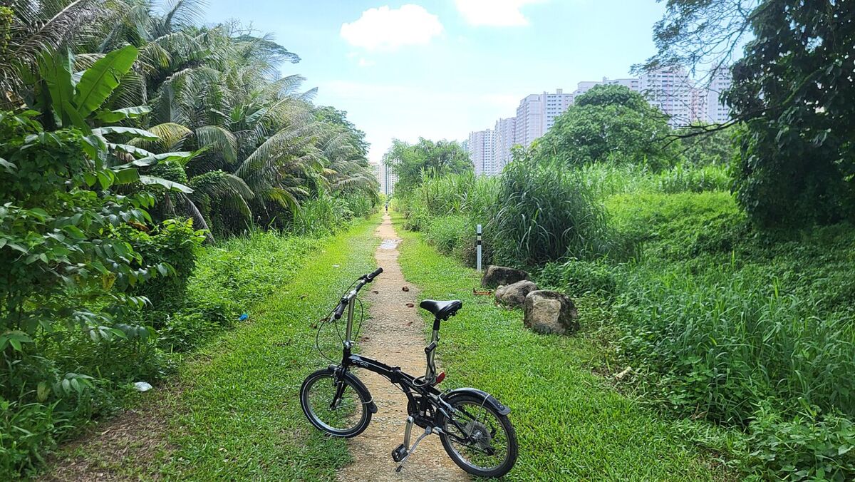 Rail Corridor Singapore: A Family Guide to the Green Trail